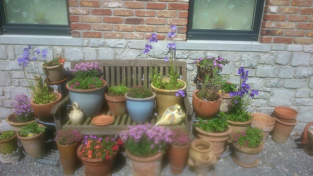 B&B Au Coeur De Villers מראה חיצוני תמונה